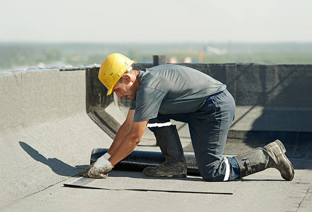 Best Insulation Replacement Services  in Blakely, PA