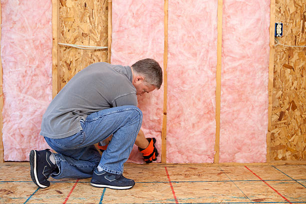 Best Fiberglass Insulation  in Blakely, PA